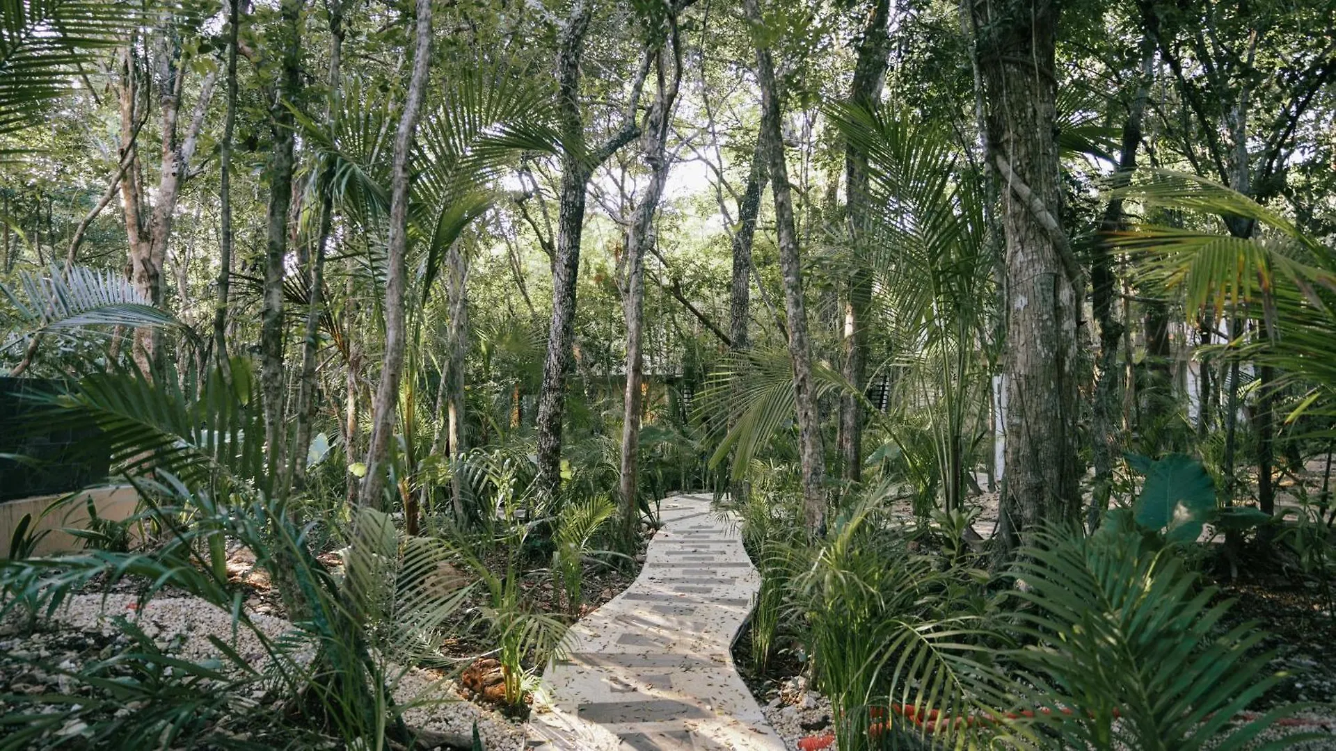 Holiday home Tulum Jungle Villa Fuego Chemuyil